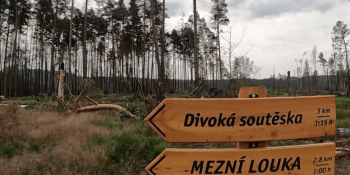 Rok po požáru v Hřensku: Nová stezka k Pravčické bráně nabízí výhled, který tu staletí nebyl