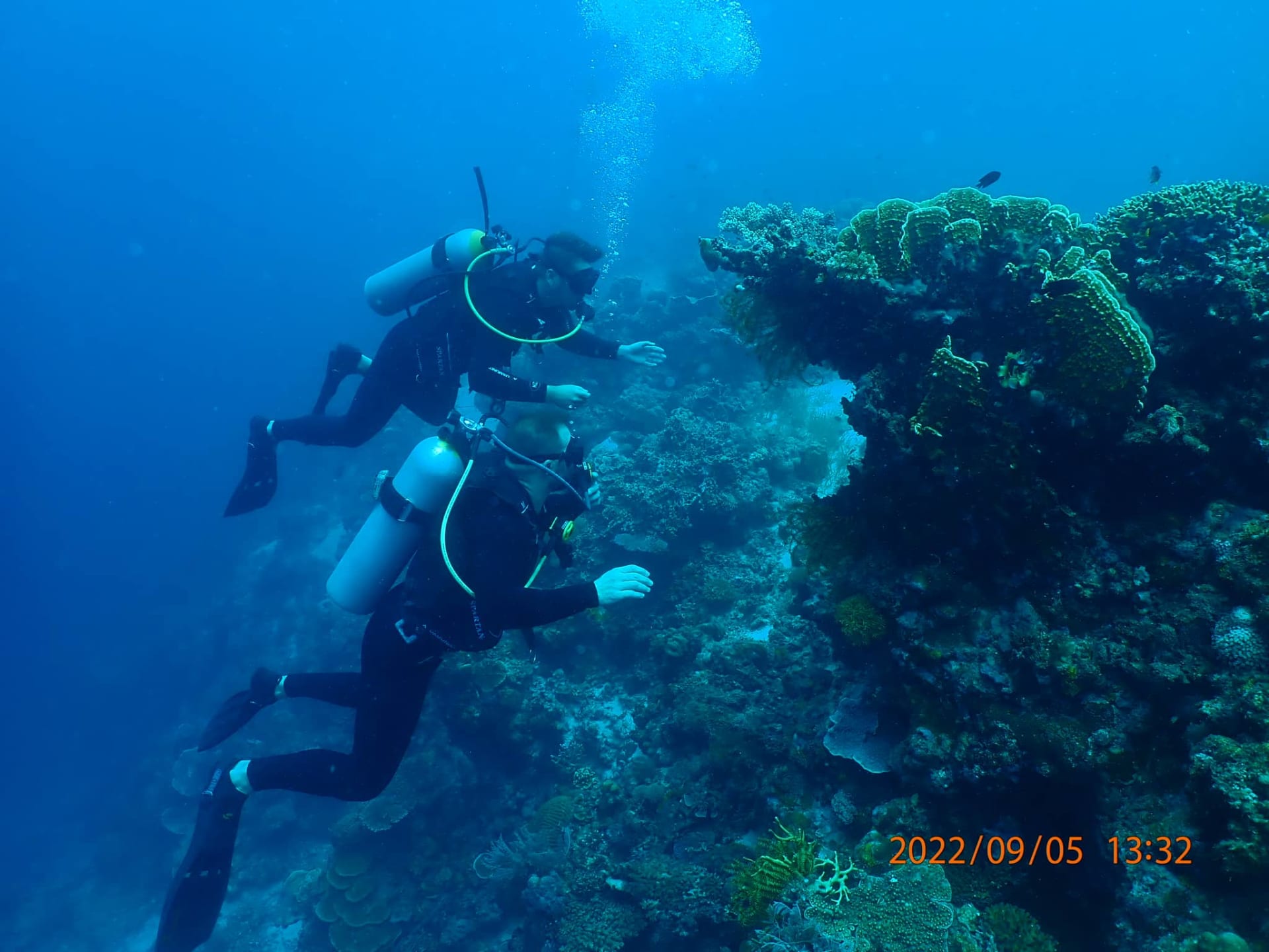 Záchrana korálů na Filipínách