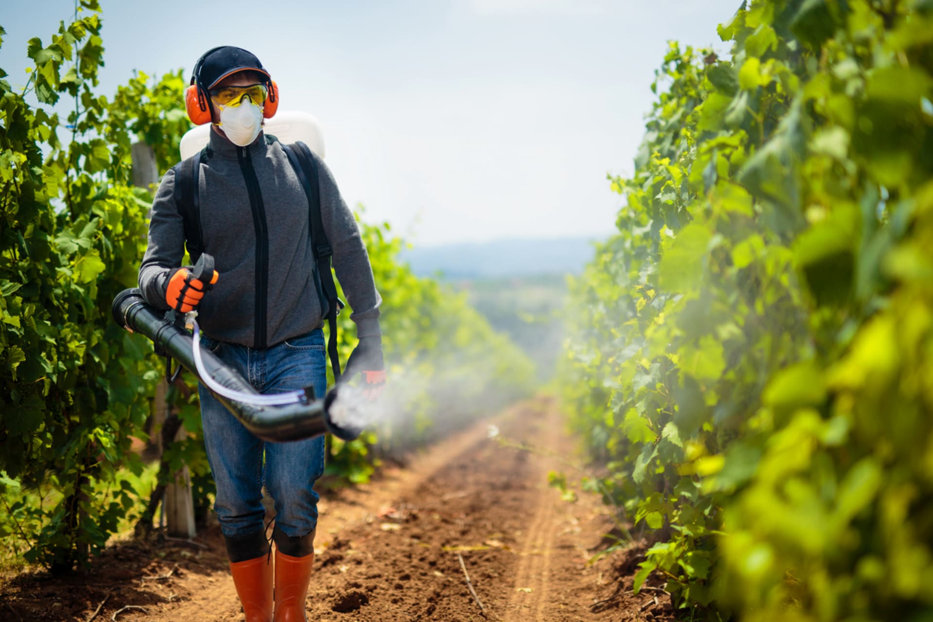 Pesticidy ulpívající na ovoci a zelenině mohou být karcinogenní