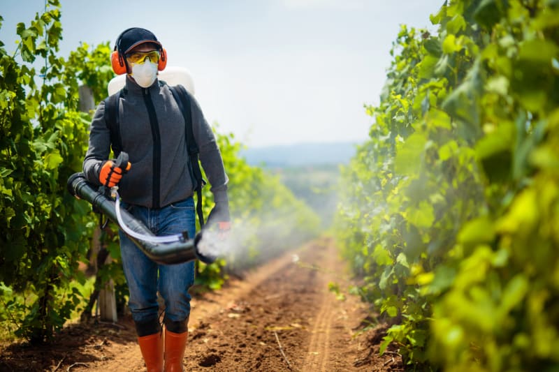 Pesticidy ulpívající na ovoci a zelenině mohou být karcinogenní