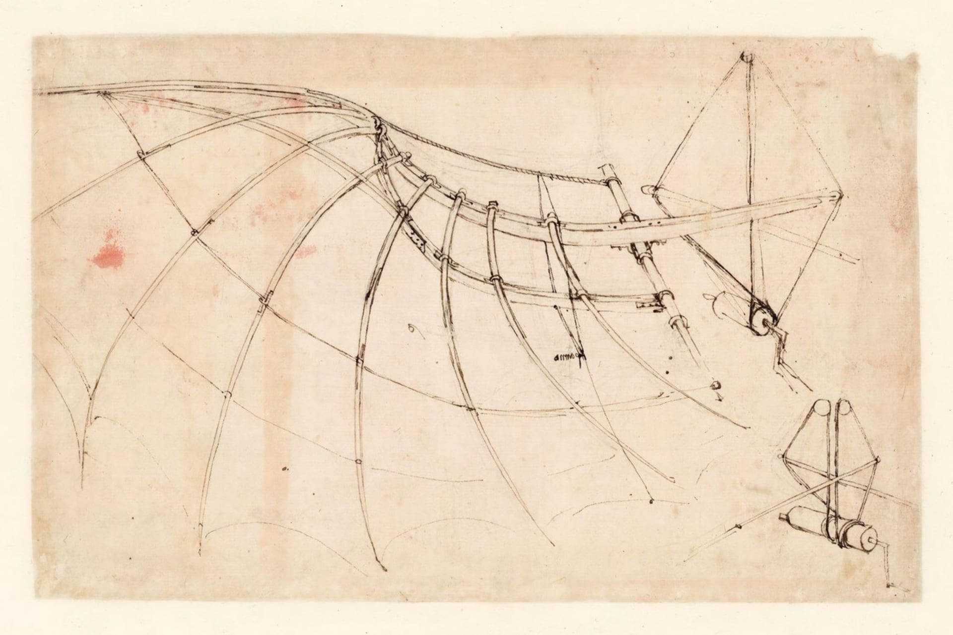 Křídlo Leonarda da Vinciho