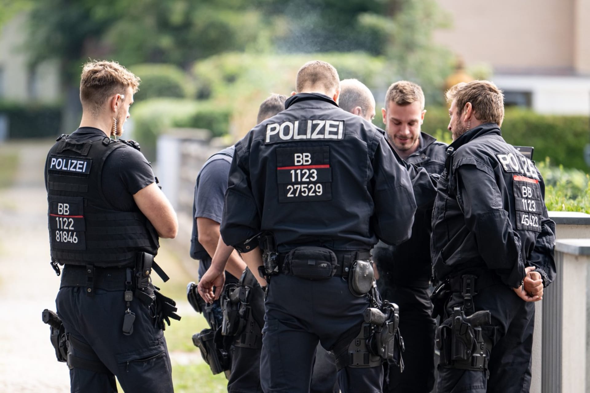 Policie na jihu Berlína a v jeho okolí pátrá po kočkovité šelmě na útěku.
