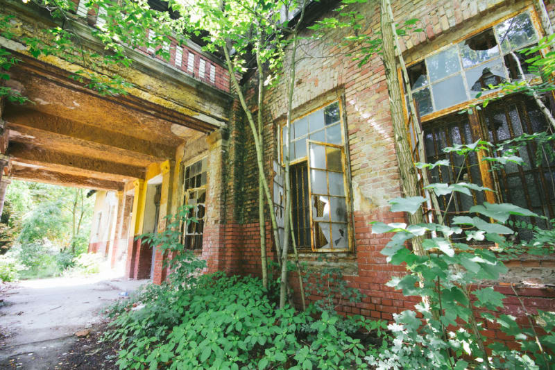 Sanatorium Beelitz-Heilstaetten si bere příroda