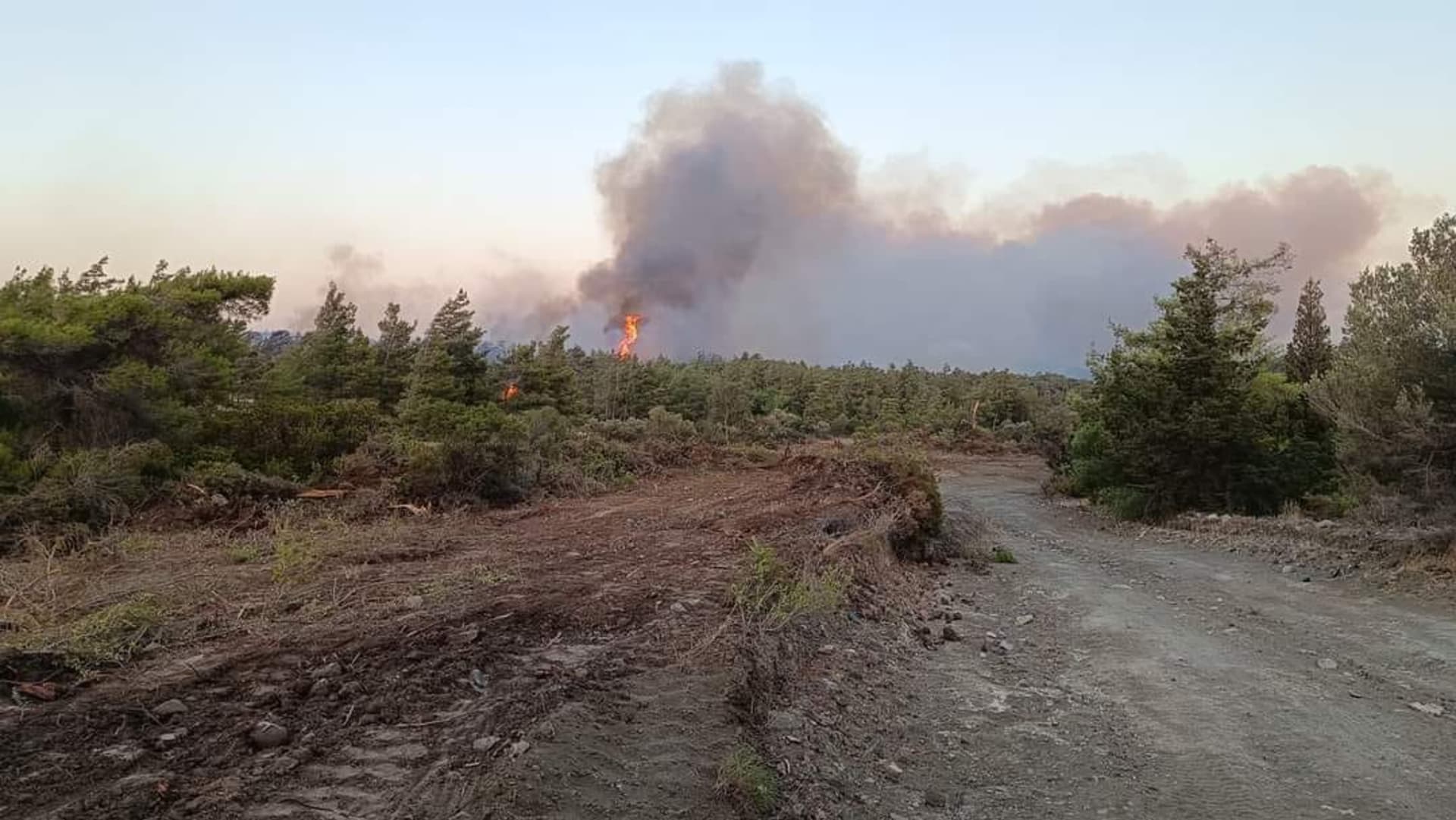 Kvůli rozsáhlému lesnímu požáru na řeckém ostrově Rhodos byli evakuováni turisté i místní.