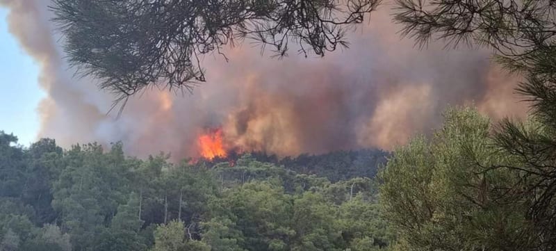 Rozsáhlé lesní požáry sužují řecký ostrov Rhodos