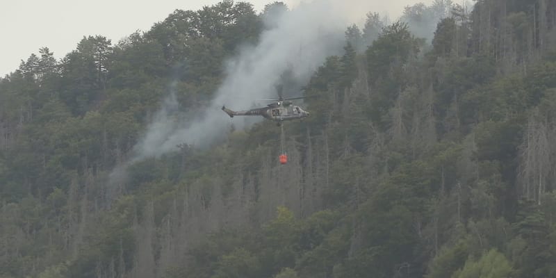 24. července 2022 pohltil České Švýcarsko rozsáhlý požár