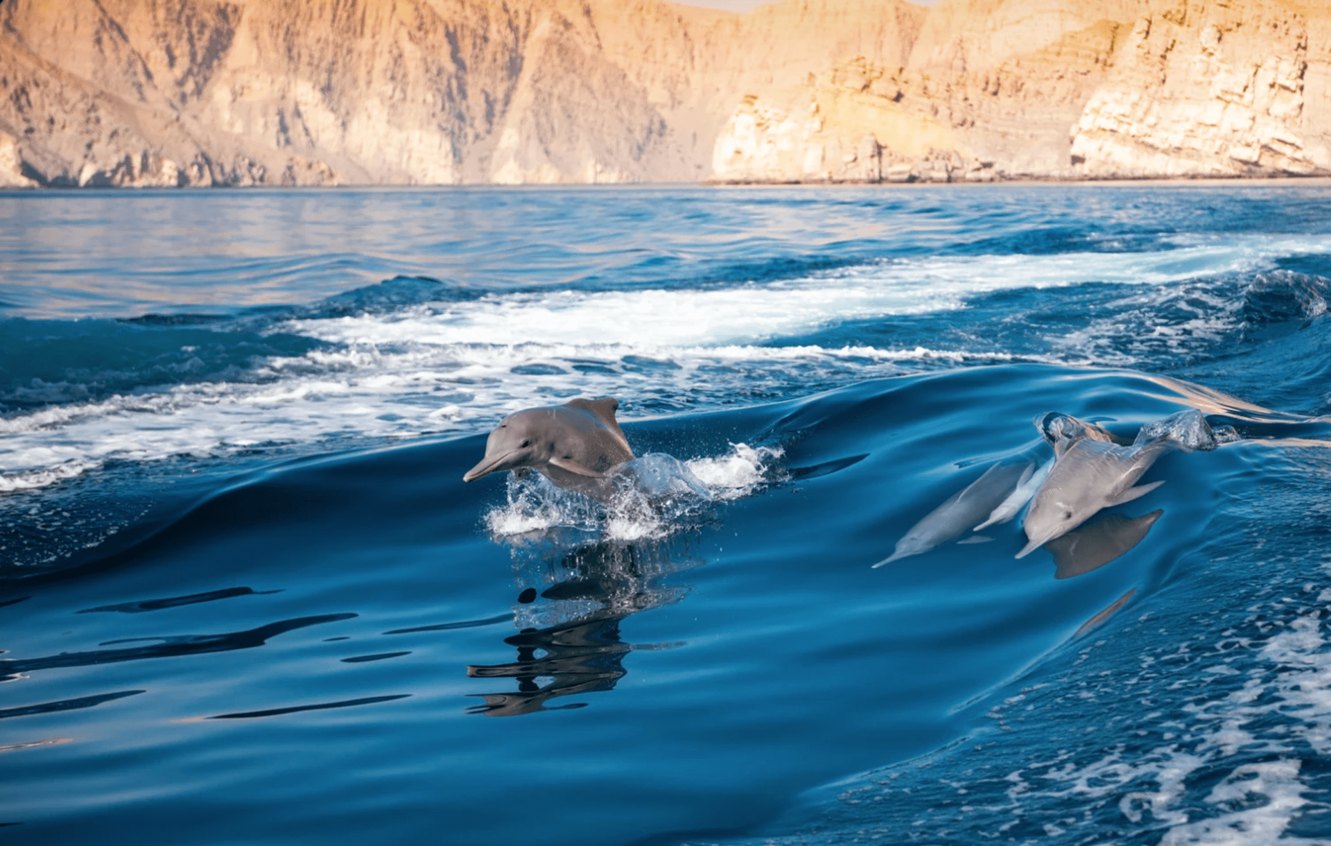 Moře obklopující Omán patří k nejkrásnějším. 