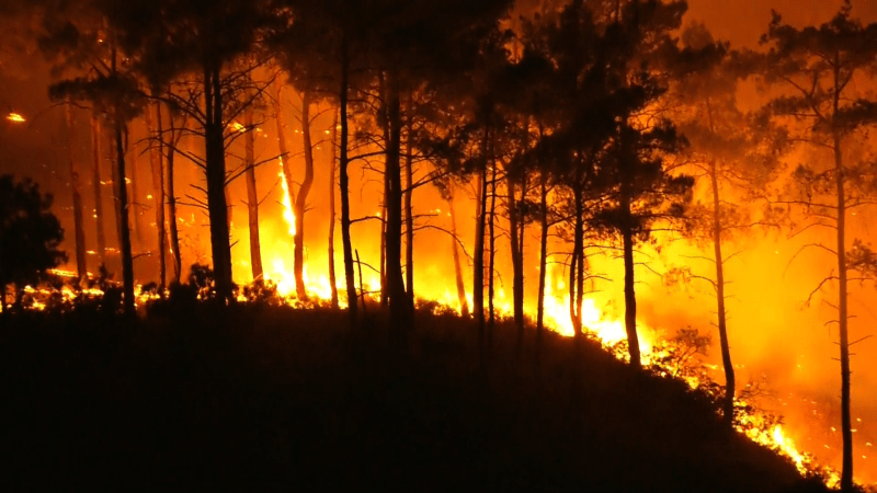 Dobrovolníci na ostrově Rhodos bojují proti požárům.