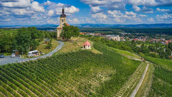 Degustační stánky a foodtrucky lákají na sklenku vína přímo na moravských i českých vinicích 