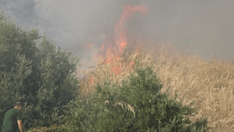 V Itálii se potýkají s lesními požáry.