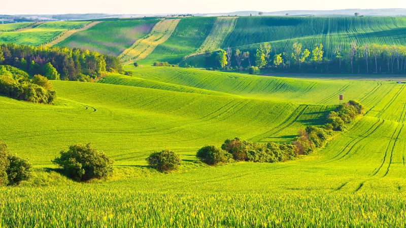 Moravské Toskánsko, jeden z nejkrásnějších regionů v ČR, nejdete v okrese Hodonín nedaleko Kyjova.