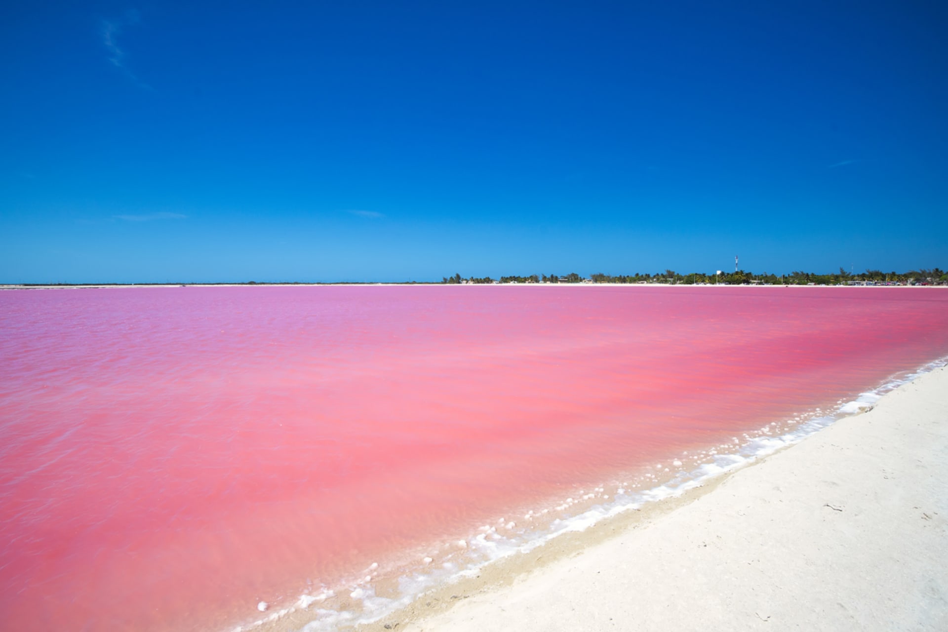Růžové jezero Las Coloradas v Mexiku