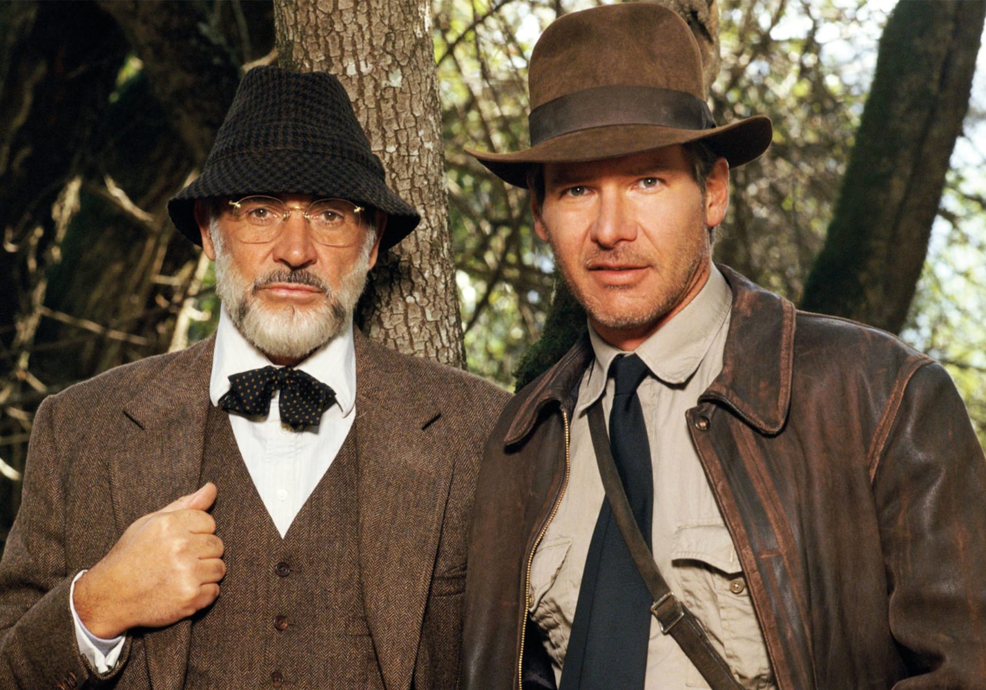 Ve třetím filmu Indiana Jones a Poslední křížová výprava (1989) si otce hlavního hrdiny zahrál Sean Connery.