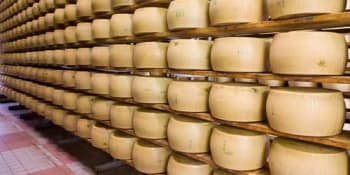 Neštěstí ve skladu se sýrem: Podnikatele zasypalo 25 tisíc kol parmazánu. Tělo hledali hodiny