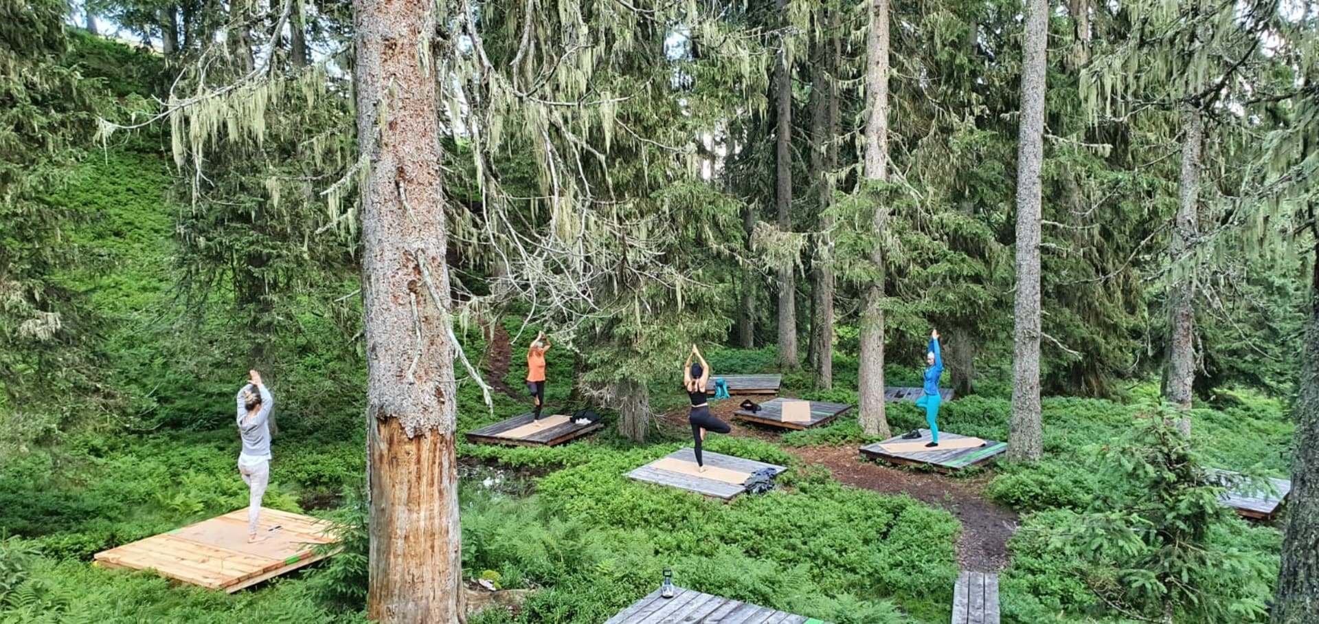 Oblíbené je také místo v lese, kde si můžete například zacvičit jógu