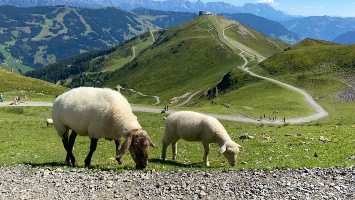 Vyhlídky v rakouských Alpách jsou opravdu za odměnu.