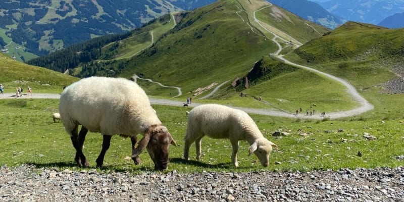 Rakouské Alpy nabízí úchvatné vyhlídky.