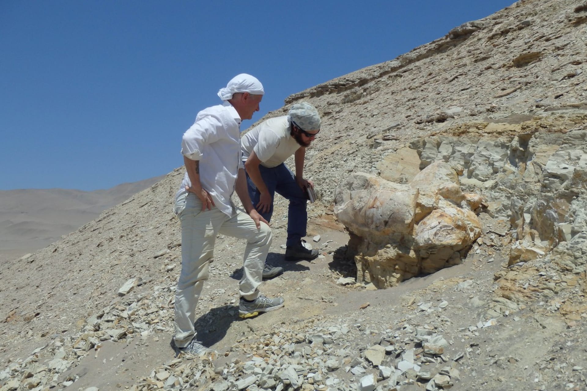 Paleontologové na nalezišti v Peru