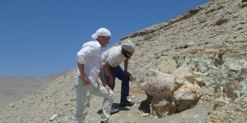 Paleontologové na nalezišti v Peru