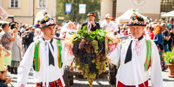 Pálavské vinobraní: Klenot jižní Moravy spojující víno, tradice a nezapomenutelné zážitky