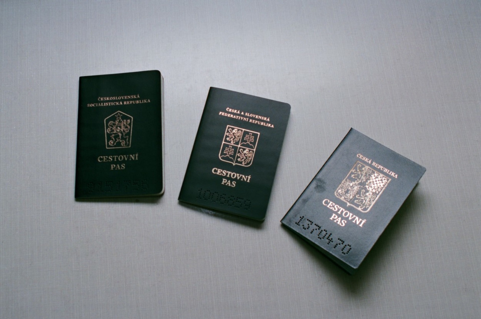 Cestovní pasy