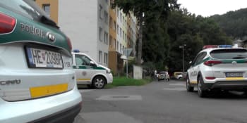 Slovensko v šoku. Zbloudilá kulka z vedlejší ulice zabila mladou učitelku při mytí nádobí