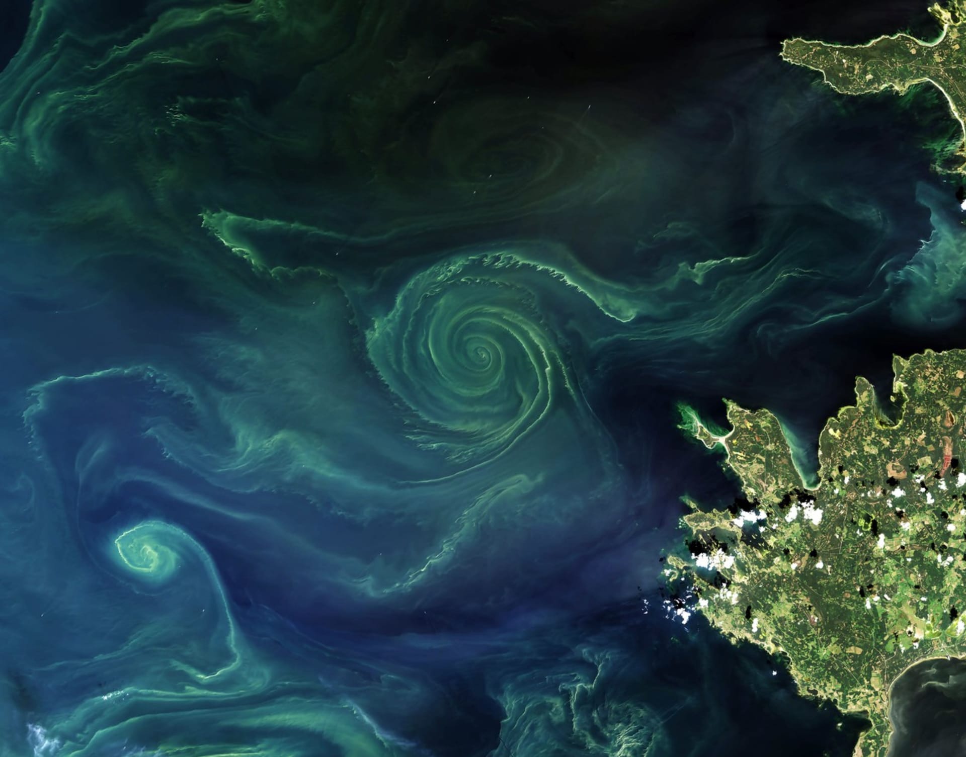 Vířící fytoplankton v oceánech 