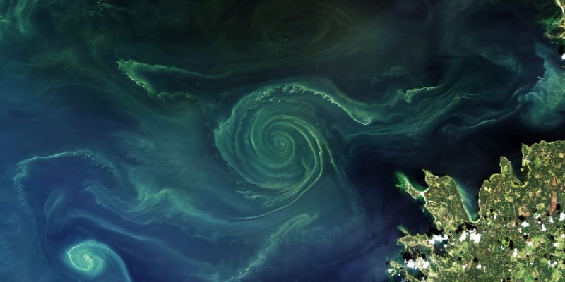 Vířící fytoplankton v oceánech 