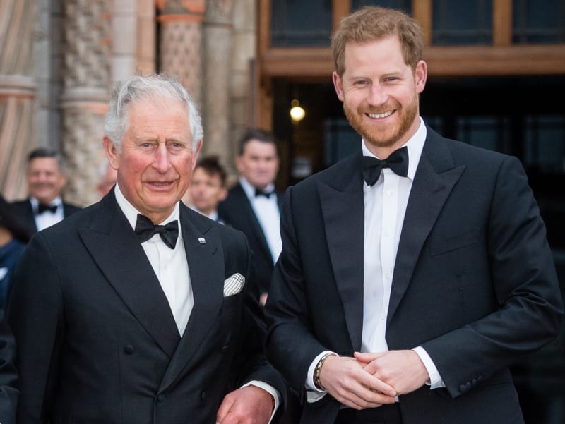 Princ Harry by chtěl, aby jeho děti měly vztah s králem Karlem III.