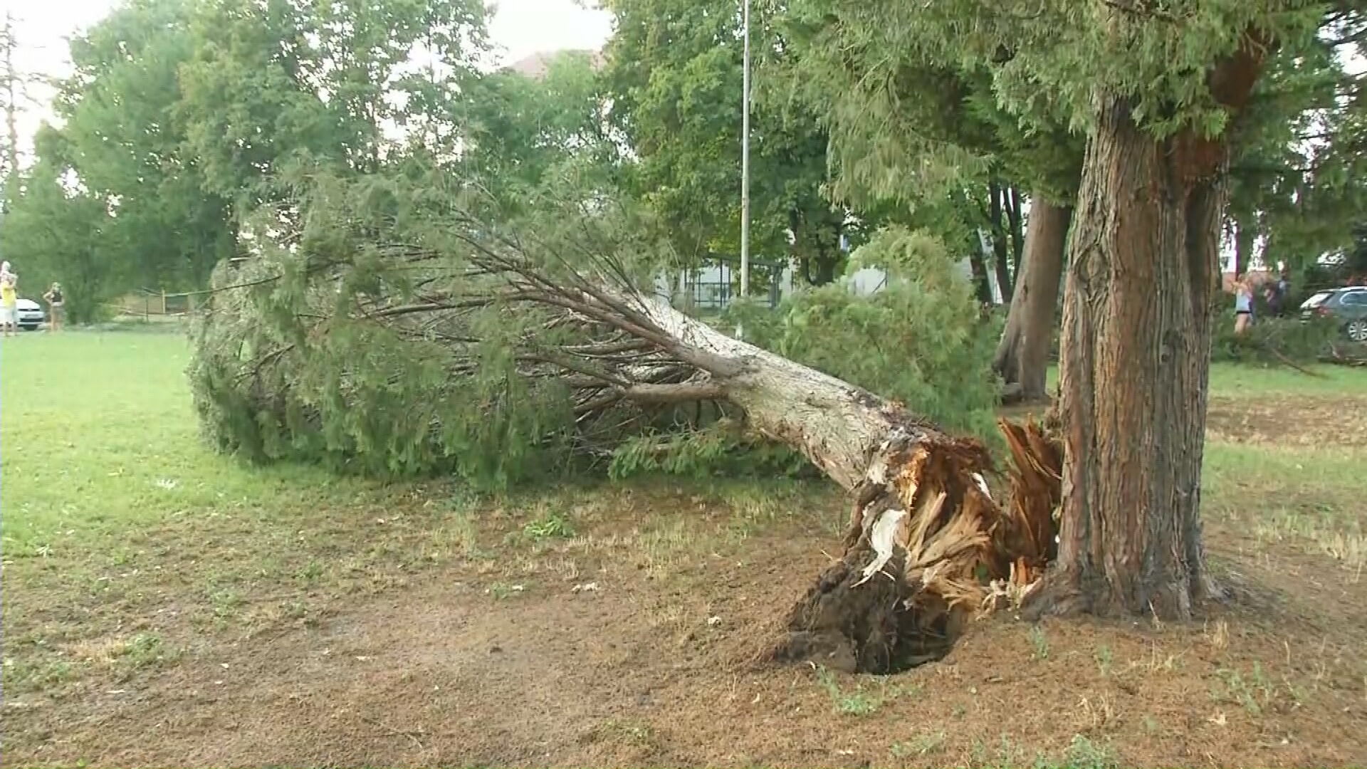 Bouřka lámala v Brně stromy a ničila střechy budov