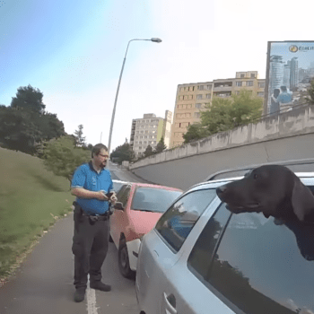 Strážníci v Praze zachraňovali psa zavřeného v autě