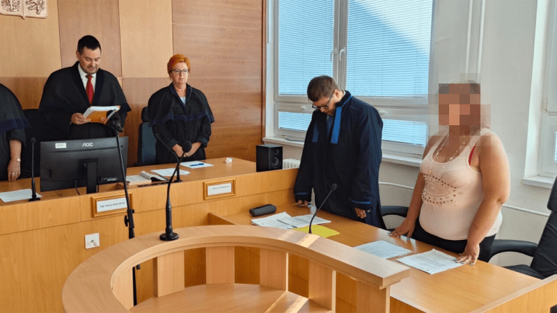 Do vězení na 16 let poslal dnes krajský soud v Ústí nad Labem třicetiletou ženu, která podle obžaloby porodila dítě do záchodové mísy a neposkytla mu potřebnou péči.
