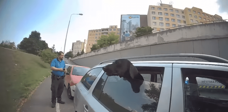 Strážníci v Praze zachraňovali psa zavřeného v autě.