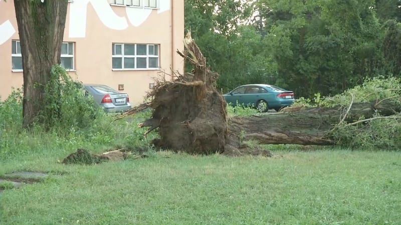 Bouřka lámala v Brně stromy a ničila střechy budov