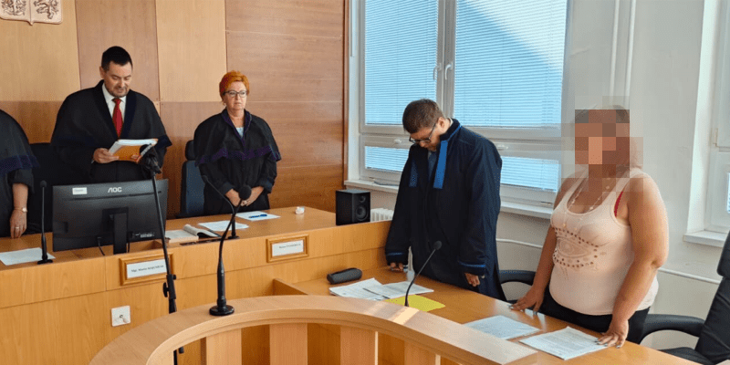 Do vězení na 16 let poslal dnes krajský soud v Ústí nad Labem třicetiletou ženu, která podle obžaloby porodila dítě do záchodové mísy a neposkytla mu potřebnou péči.