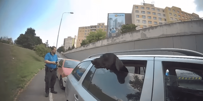 Strážníci v Praze zachraňovali psa zavřeného v autě.