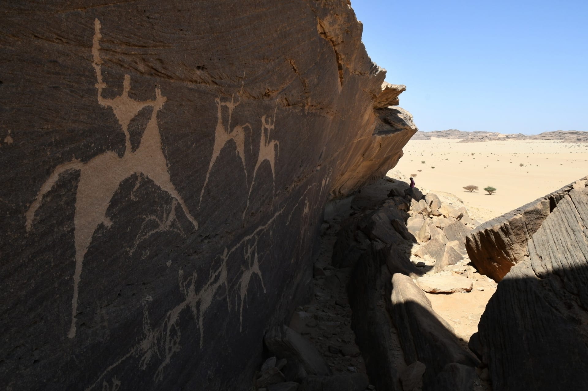 Galerie pravěkých skalních rytin,  tzv. petroglyfy