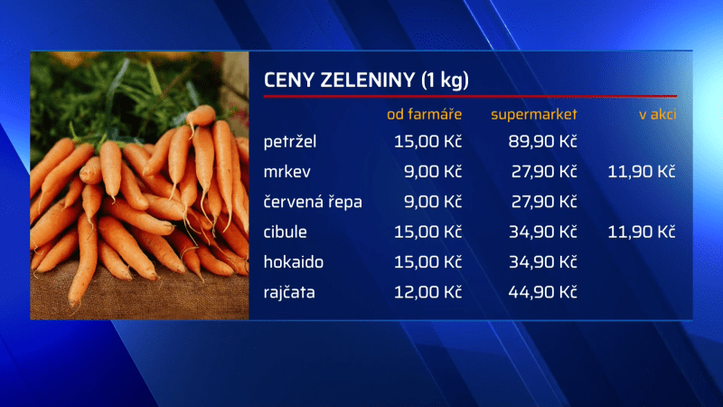 Obrovský zájem letos vzbudil tradiční samosběr zeleniny v okolí Vojnic na Olomoucku.