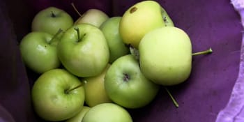 Drahá jablka? Supermarkety je vykoupí levně a prodají za čtyřnásobek. Čeští ovocnáři zuří