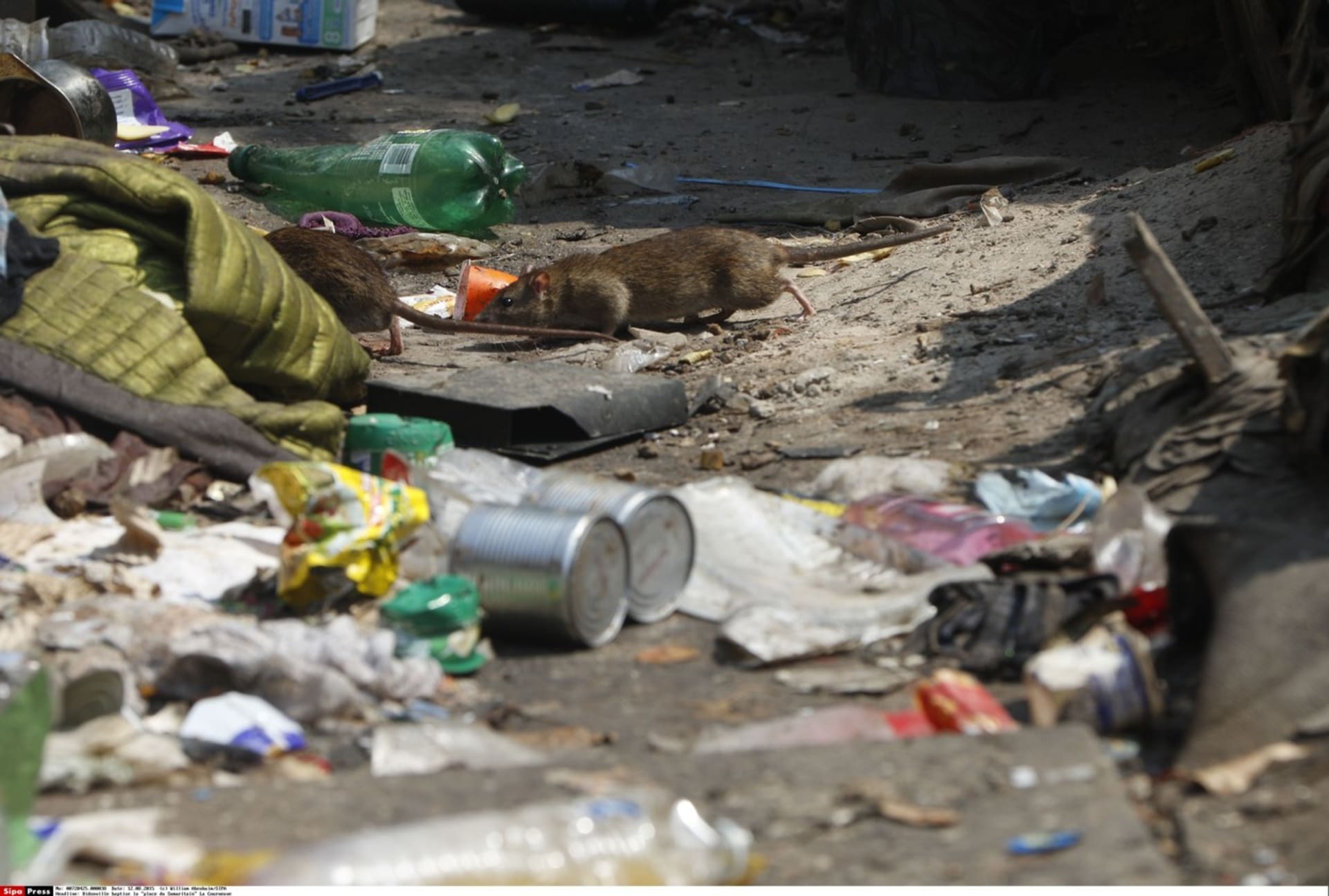 Turisté fotografují krysy pobíhající mezi odpadky