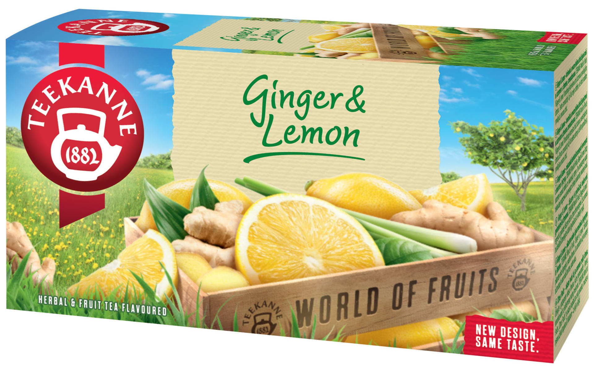 TEEKANNE Ginger  Lemon