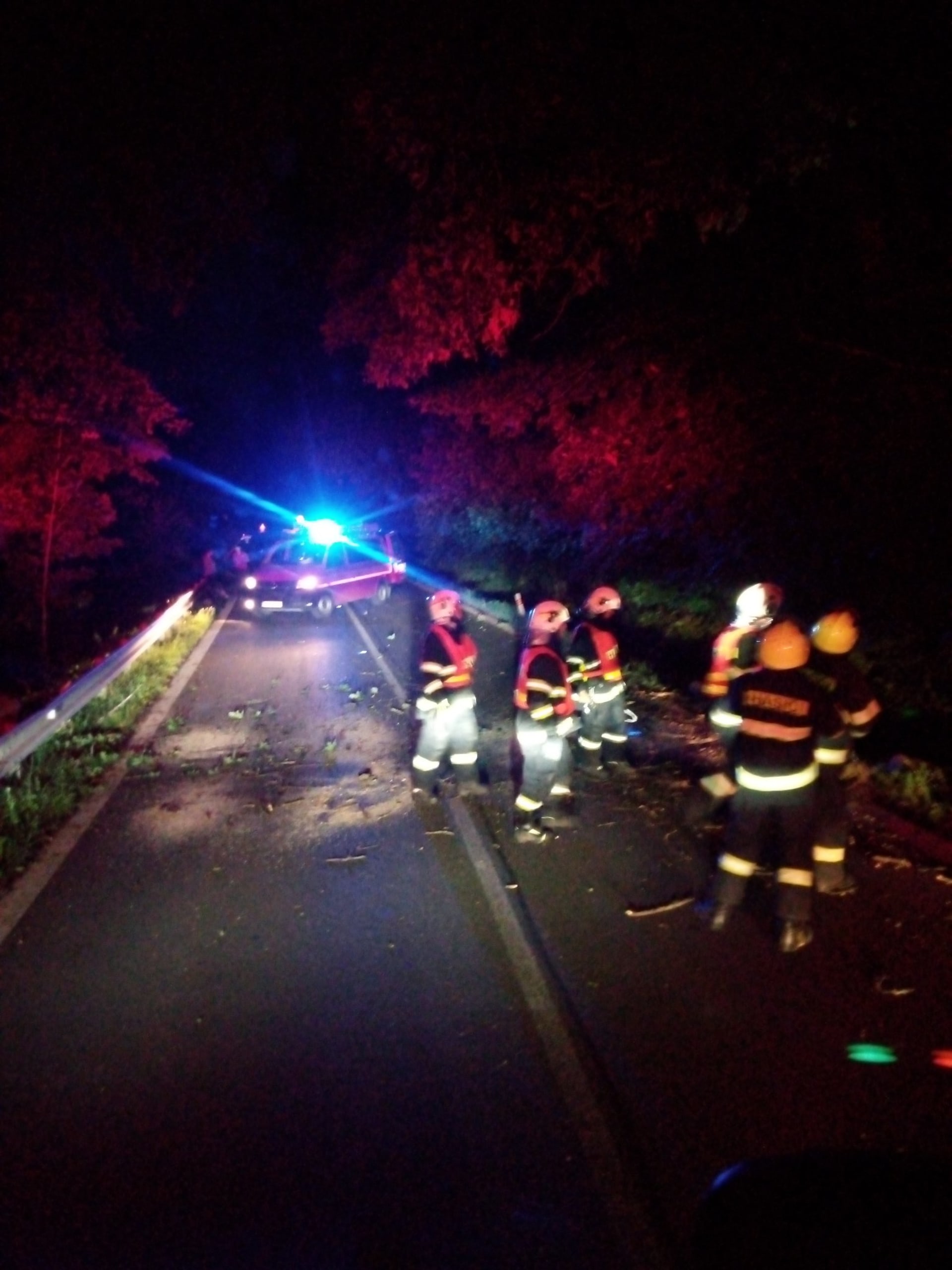 Strom spadlý na silnici v Královéhradeckém kraji