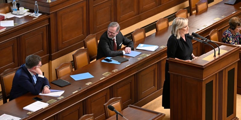 Šéfka poslanců ANO Alena Schillerová ve Sněmovně