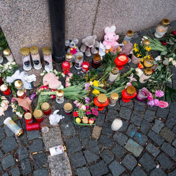 Bavorské město Wundsiedel ležící zhruba 25 kilometrů od českých hranic šokoval na začátku dubna případ vraždy 10leté dívky.