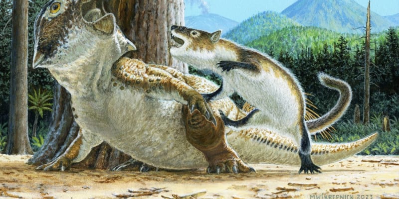 Souboj Repenomamuse s Psittacosaurem