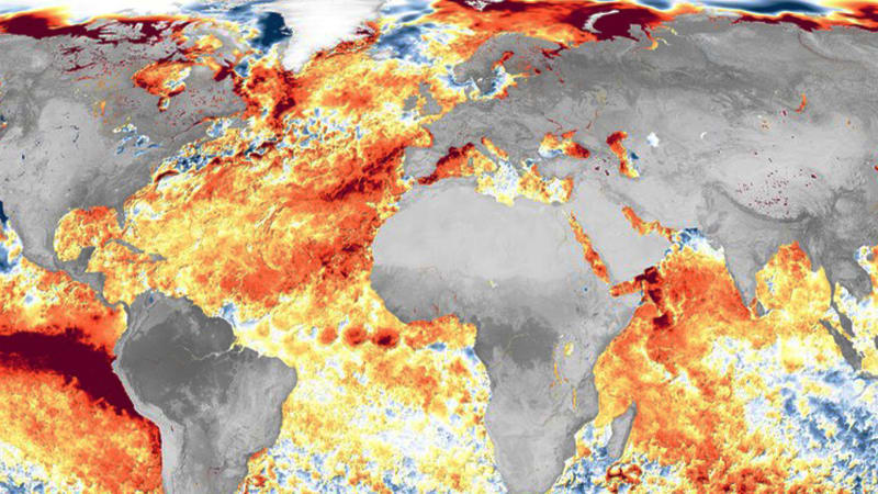 Globální anomálie počasí děsí vědce. Země zažila rekordní požáry, oteplení oceánů ničí mořský život