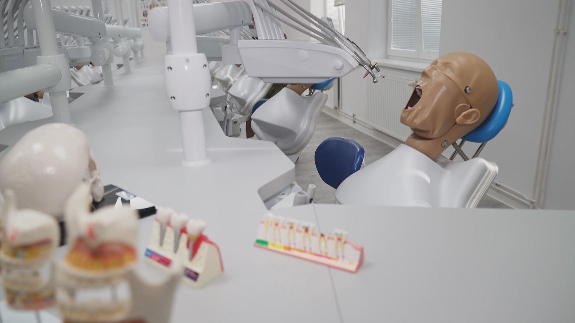 Lékařská fakulta Ostravské univerzity získala akreditaci na obor stomatologie.