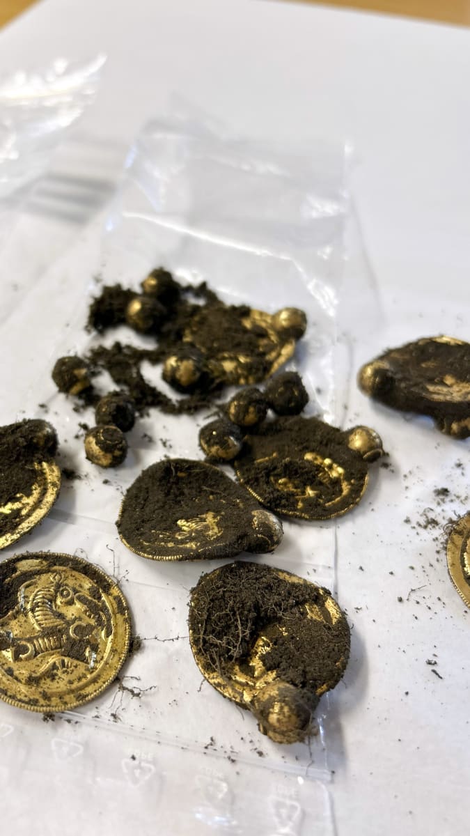 Mince, které našel amatérský hledač kovů Erlend Bore u Stavangeru.
