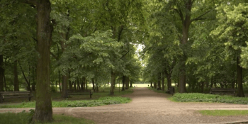 Přes sto let nabízí relax i umění. V Borském parku v Plzni najdete unikátní památník