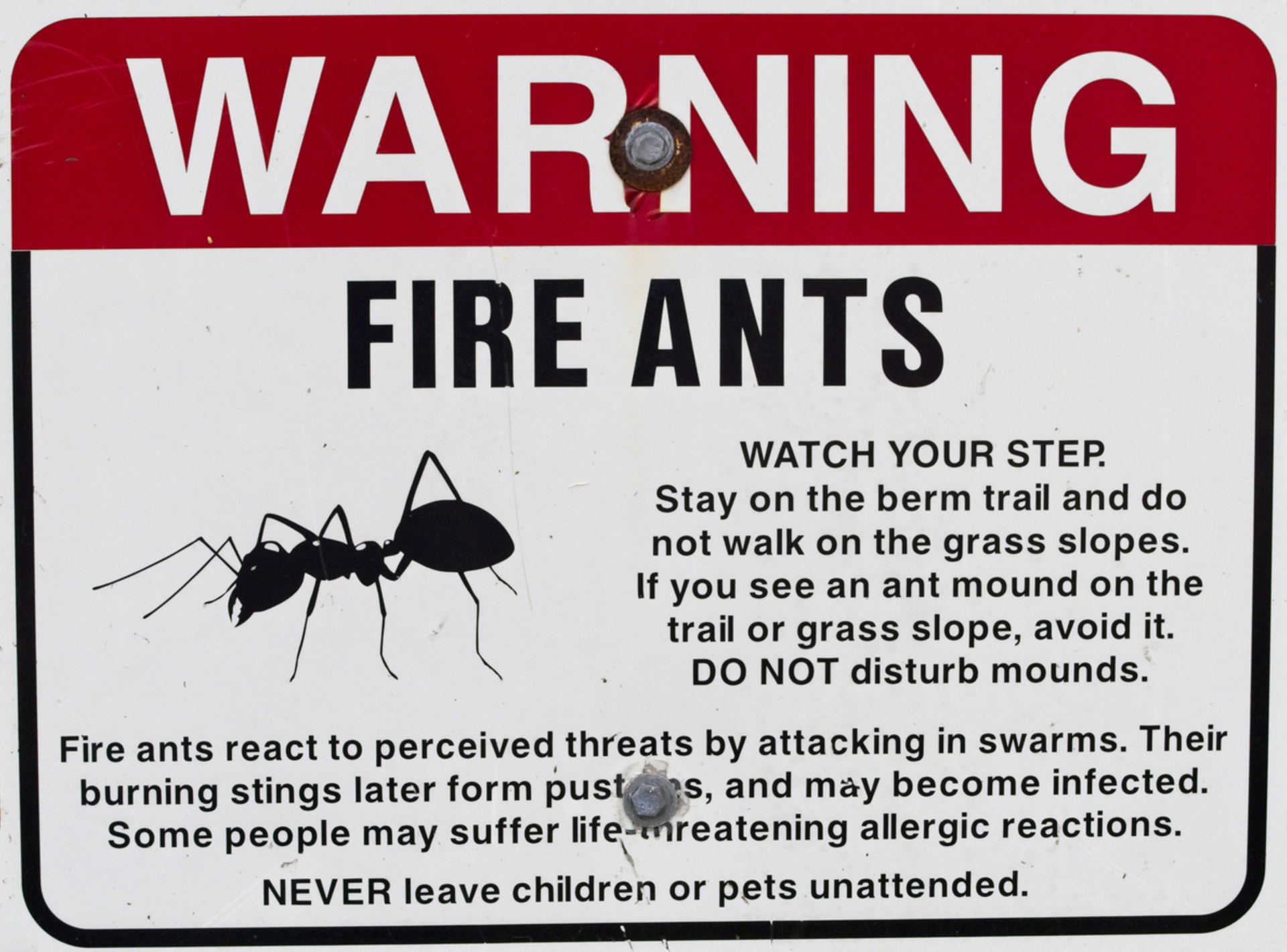 Varování před ohnivými mravenci
